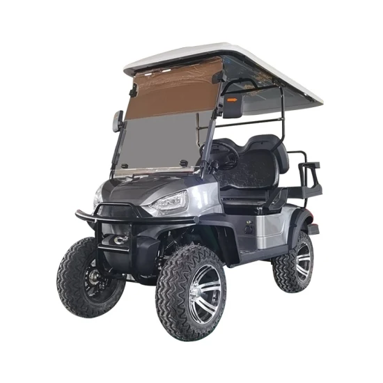 Chariot de golf pliable en acrylique de haute qualité, pare-brise Ds approuvé par le DOT